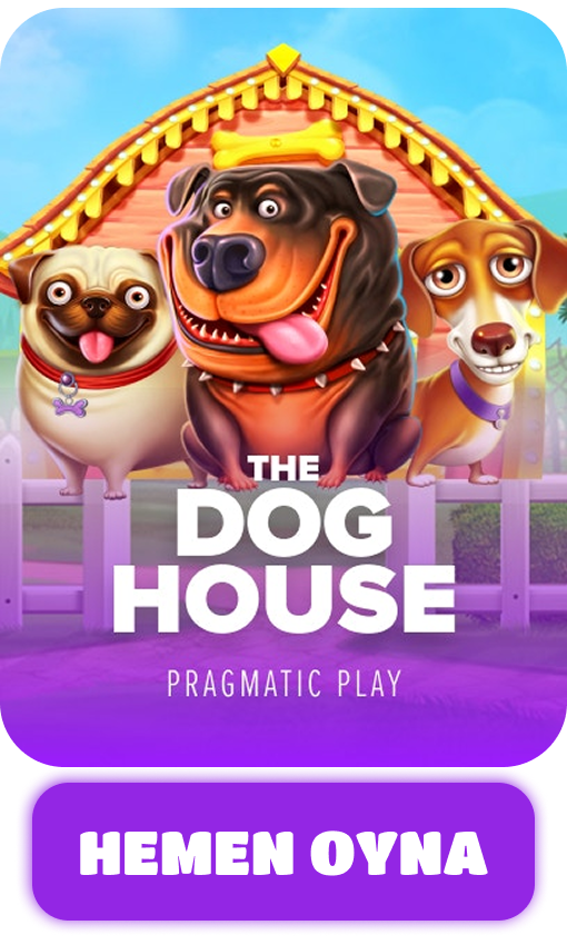 THEDOGHOUSE