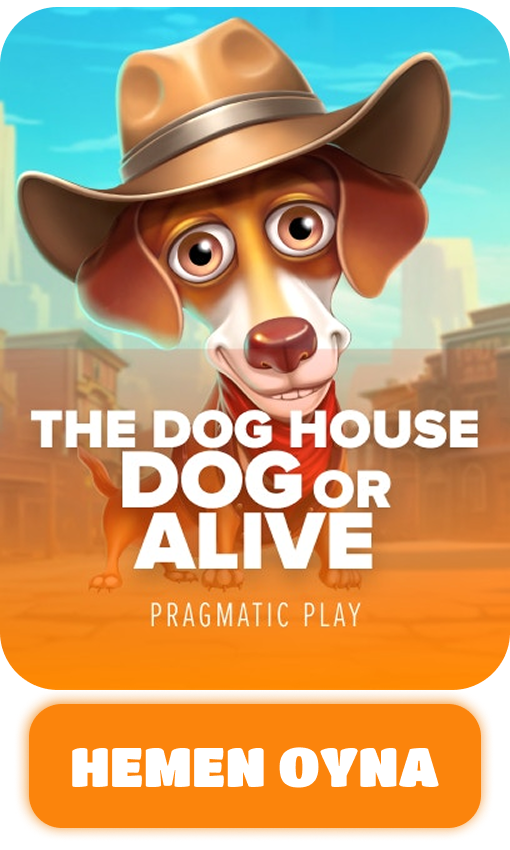 thedoghousedogoralive